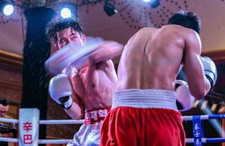 吃瓜娱乐拳击视频大全,吃瓜娱乐拳击视频大全精选集锦